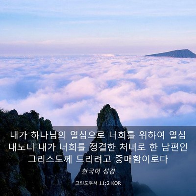 Picture 03 - 고린도후서 11:2 KOR - 내가 하나님의 열심으로 너희를 - Bible Verse Picture