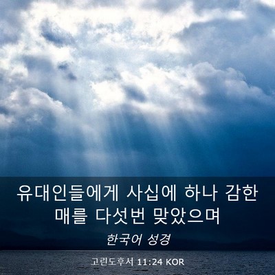 Picture 03 - 고린도후서 11:24 KOR - 유대인들에게 사십에 하나 감한 매를 - Bible Verse Picture