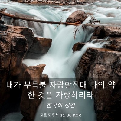 Picture 03 - 고린도후서 11:30 KOR - 내가 부득불 자랑할진대 나의 약한 - Bible Verse Picture