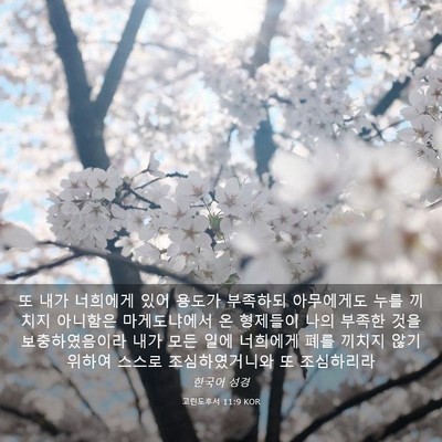 Picture 03 - 고린도후서 11:9 KOR - 또 내가 너희에게 있어 용도가 - Bible Verse Picture