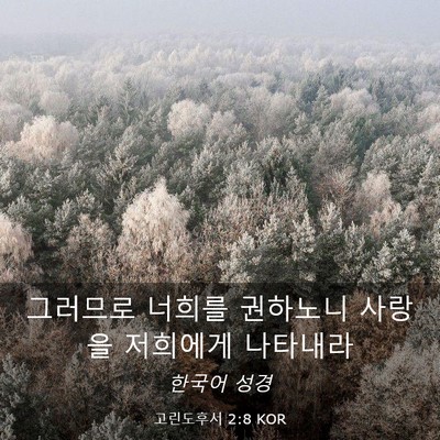 Picture 03 - 고린도후서 2:8 KOR - 그러므로 너희를 권하노니 사랑을 - Bible Verse Picture