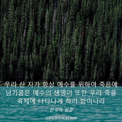 Picture 03 - 고린도후서 4:11 KOR - 우리 산 자가 항상 예수를 위하여 - Bible Verse Picture