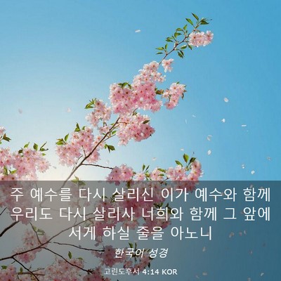 Picture 03 - 고린도후서 4:14 KOR - 주 예수를 다시 살리신 이가 예수와 - Bible Verse Picture