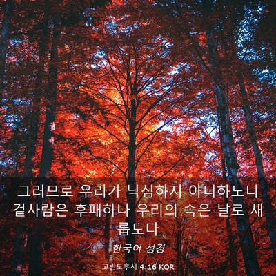 Picture 03 - 고린도후서 4:16 KOR - 그러므로 우리가 낙심하지 - Bible Verse Picture