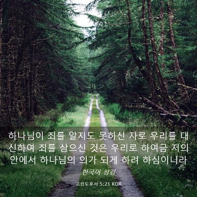 Picture 03 - 고린도후서 5:21 KOR - 하나님이 죄를 알지도 못하신 자로 - Bible Verse Picture