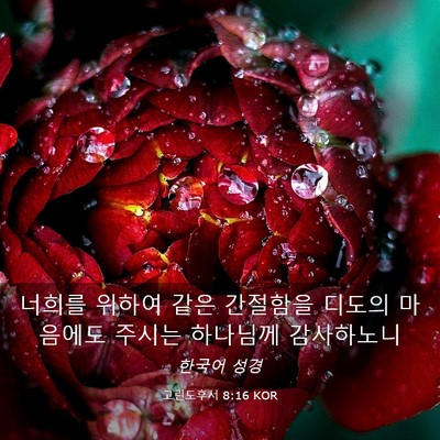 Picture 03 - 고린도후서 8:16 KOR - 너희를 위하여 같은 간절함을 디도의 - Bible Verse Picture