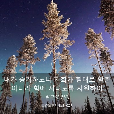 Picture 03 - 고린도후서 8:3 KOR - 내가 증거하노니 저희가 힘대로 할뿐 - Bible Verse Picture