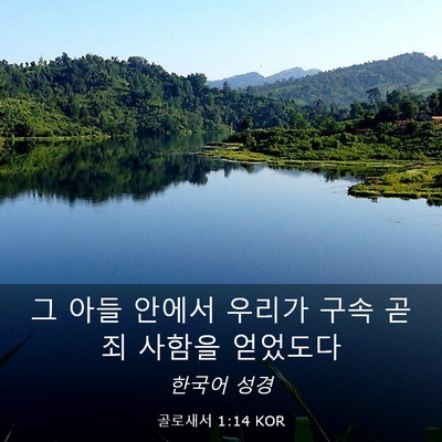 Picture 03 - 골로새서 1:14 KOR - 그 아들 안에서 우리가 구속 곧 죄 - Bible Verse Picture