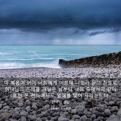 Picture 03 - 골로새서 1:6 KOR - 이 복음이 이미 너희에게 이르매 - Bible Verse Picture
