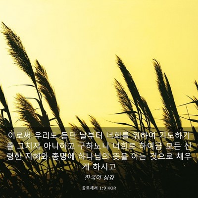 Picture 03 - 골로새서 1:9 KOR - 이로써 우리도 듣던 날부터 너희를 - Bible Verse Picture