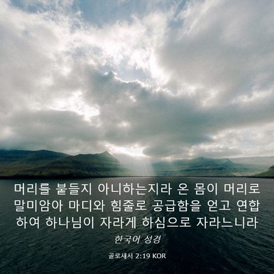Picture 03 - 골로새서 2:19 KOR - 머리를 붙들지 아니하는지라 온 몸이 - Bible Verse Picture