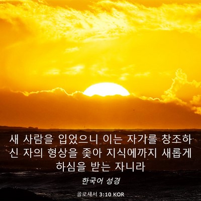 Picture 03 - 골로새서 3:10 KOR - 새 사람을 입었으니 이는 자기를 - Bible Verse Picture