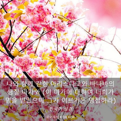 Picture 03 - 골로새서 4:10 KOR - 나와 함께 갇힌 아리스다고와 - Bible Verse Picture