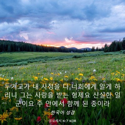 Picture 03 - 골로새서 4:7 KOR - 두기고가 내 사정을 다 너희에게 - Bible Verse Picture