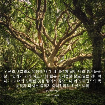 Picture 03 - 나훔 2:13 KOR - 만군의 여호와의 말씀에 내가 네 - Bible Verse Picture