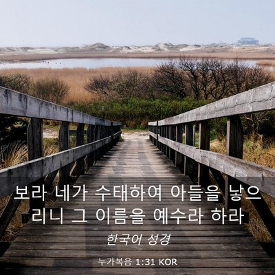 Picture 03 - 누가복음 1:31 KOR - 보라 네가 수태하여 아들을 낳으리니 - Bible Verse Picture