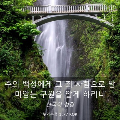 Picture 03 - 누가복음 1:77 KOR - 주의 백성에게 그 죄 사함으로 - Bible Verse Picture