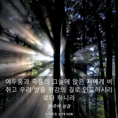Picture 03 - 누가복음 1:79 KOR - 어두움과 죽음의 그늘에 앉은 자에게 - Bible Verse Picture