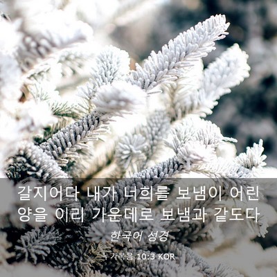 Picture 03 - 누가복음 10:3 KOR - 갈지어다 내가 너희를 보냄이 어린 - Bible Verse Picture