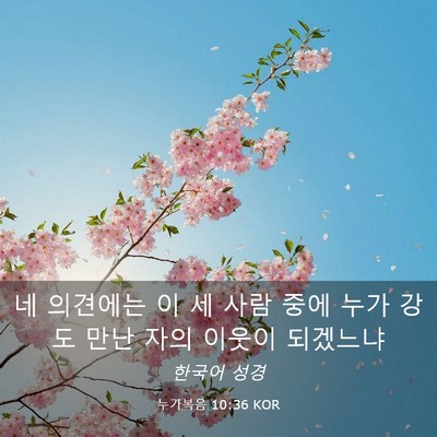 Picture 03 - 누가복음 10:36 KOR - 네 의견에는 이 세 사람 중에 누가 - Bible Verse Picture