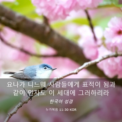Picture 03 - 누가복음 11:30 KOR - 요나가 니느웨 사람들에게 표적이 - Bible Verse Picture