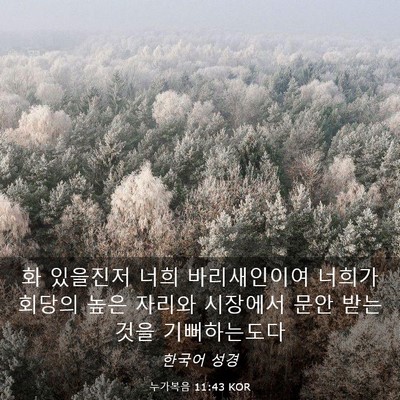 Picture 03 - 누가복음 11:43 KOR - 화 있을진저 너희 바리새인이여 - Bible Verse Picture
