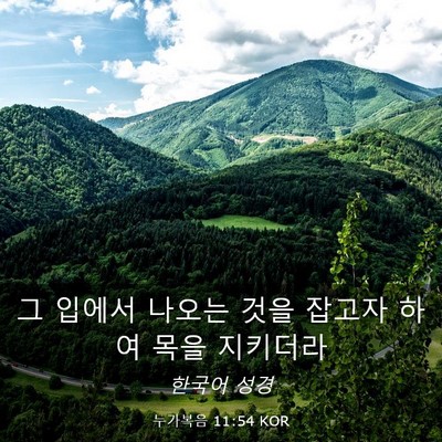 Picture 03 - 누가복음 11:54 KOR - 그 입에서 나오는 것을 잡고자 하여 - Bible Verse Picture