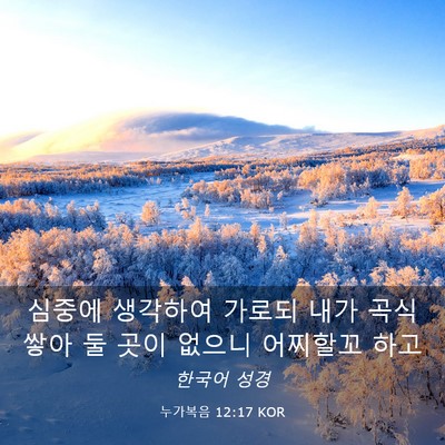 Picture 03 - 누가복음 12:17 KOR - 심중에 생각하여 가로되 내가 곡식 - Bible Verse Picture
