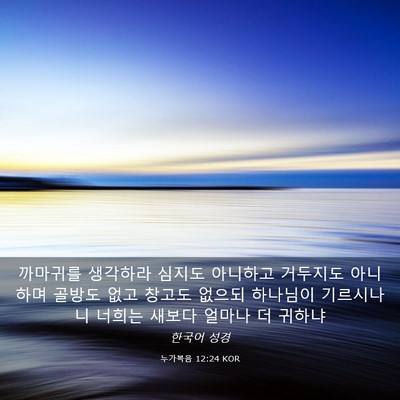 Picture 03 - 누가복음 12:24 KOR - 까마귀를 생각하라 심지도 아니하고 - Bible Verse Picture