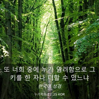 Picture 03 - 누가복음 12:25 KOR - 또 너희 중에 누가 염려함으로 그 - Bible Verse Picture
