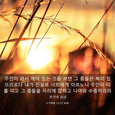 Picture 03 - 누가복음 12:37 KOR - 주인이 와서 깨어 있는 것을 보면 그 - Bible Verse Picture