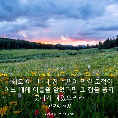 Picture 03 - 누가복음 12:39 KOR - 너희도 아는바니 집 주인이 만일 - Bible Verse Picture