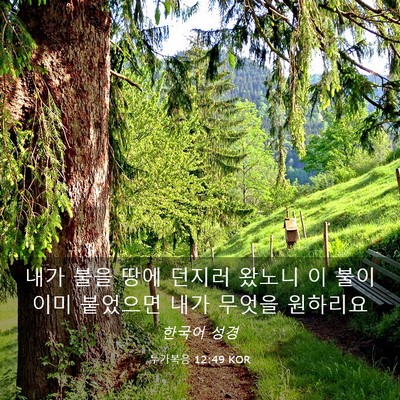 Picture 03 - 누가복음 12:49 KOR - 내가 불을 땅에 던지러 왔노니 이 - Bible Verse Picture