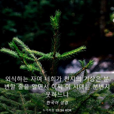 Picture 03 - 누가복음 12:56 KOR - 외식하는 자여 너희가 천지의 기상은 - Bible Verse Picture