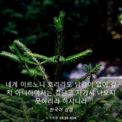Picture 03 - 누가복음 12:59 KOR - 네게 이르노니 호리라도 남김이 없이 - Bible Verse Picture