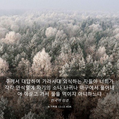 Picture 03 - 누가복음 13:15 KOR - 주께서 대답하여 가라사대 외식하는 - Bible Verse Picture