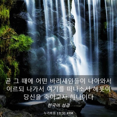 Picture 03 - 누가복음 13:31 KOR - 곧 그 때에 어떤 바리새인들이 - Bible Verse Picture