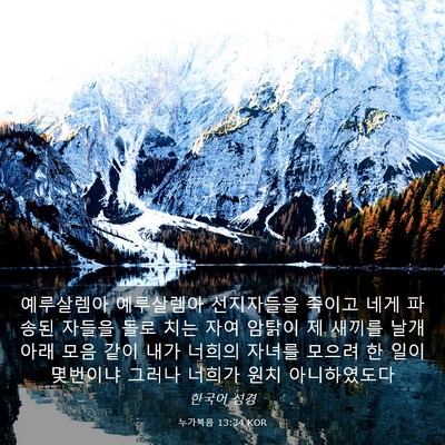 Picture 03 - 누가복음 13:34 KOR - 예루살렘아 예루살렘아 선지자들을 - Bible Verse Picture