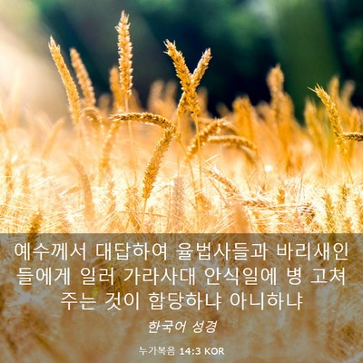 Picture 03 - 누가복음 14:3 KOR - 예수께서 대답하여 율법사들과 - Bible Verse Picture