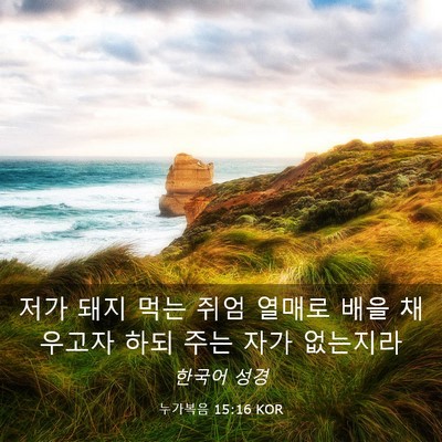 Picture 03 - 누가복음 15:16 KOR - 저가 돼지 먹는 쥐엄 열매로 배을 - Bible Verse Picture