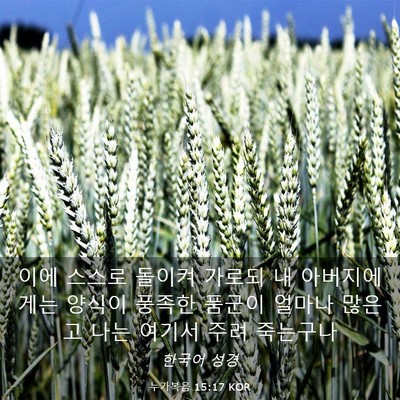 Picture 03 - 누가복음 15:17 KOR - 이에 스스로 돌이켜 가로되 내 - Bible Verse Picture