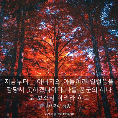 Picture 03 - 누가복음 15:19 KOR - 지금부터는 아버지의 아들이라 - Bible Verse Picture