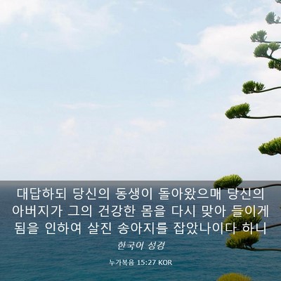 Picture 03 - 누가복음 15:27 KOR - 대답하되 당신의 동생이 돌아왔으매 - Bible Verse Picture