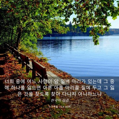 Picture 03 - 누가복음 15:4 KOR - 너희 중에 어느 사람이 양 일백 - Bible Verse Picture