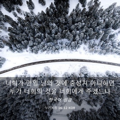 Picture 03 - 누가복음 16:12 KOR - 너희가 만일 남의 것에 충성치 - Bible Verse Picture