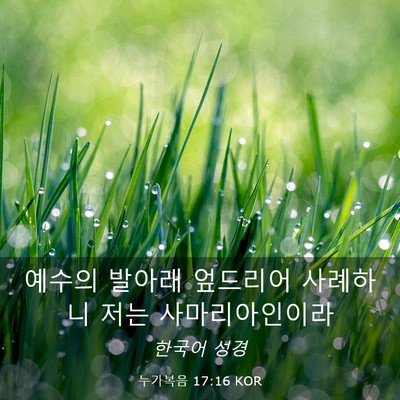Picture 03 - 누가복음 17:16 KOR - 예수의 발아래 엎드리어 사례하니 - Bible Verse Picture