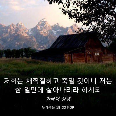Picture 03 - 누가복음 18:33 KOR - 저희는 채찍질하고 죽일 것이니 저는 - Bible Verse Picture