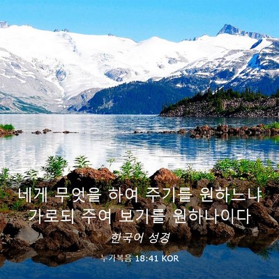 Picture 03 - 누가복음 18:41 KOR - 네게 무엇을 하여 주기를 원하느냐 - Bible Verse Picture