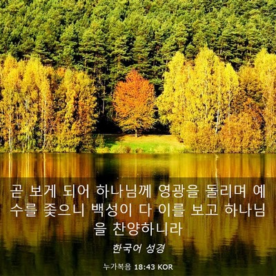 Picture 03 - 누가복음 18:43 KOR - 곧 보게 되어 하나님께 영광을 - Bible Verse Picture