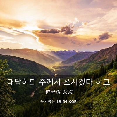 Picture 03 - 누가복음 19:34 KOR - 대답하되 주께서 쓰시겠다 - Bible Verse Picture